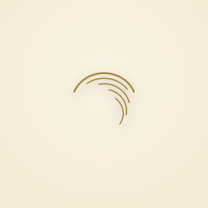 Poc Shell Stud Earring